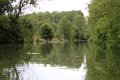 (12) Le Marais Poitevin